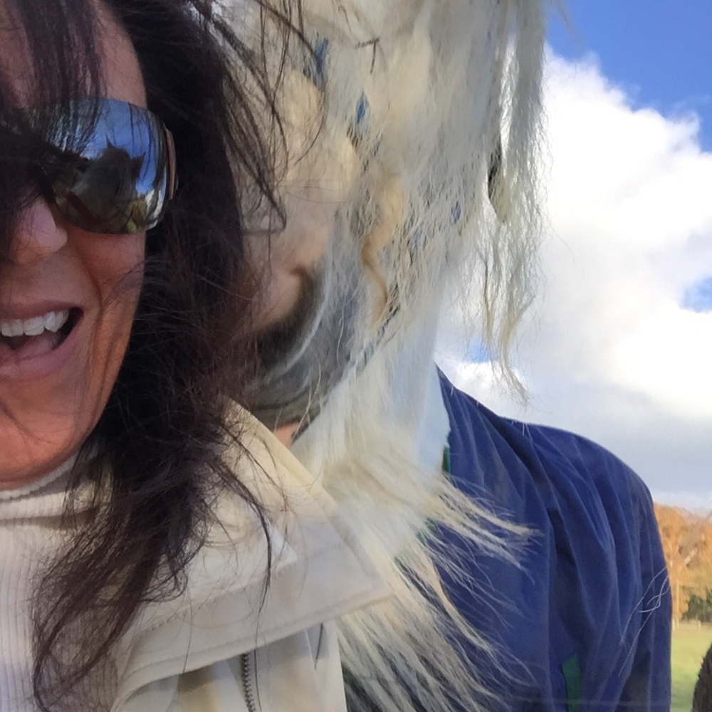 Meet your Posher, Rose